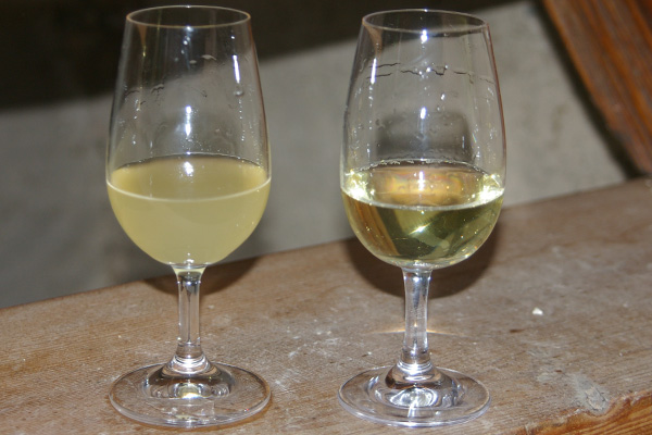 Vinification filtration